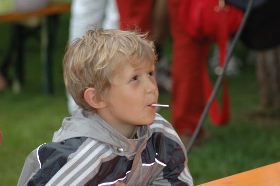 (c)www.petervietz.de