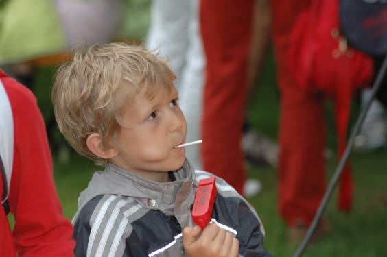 (c)www.petervietz.de